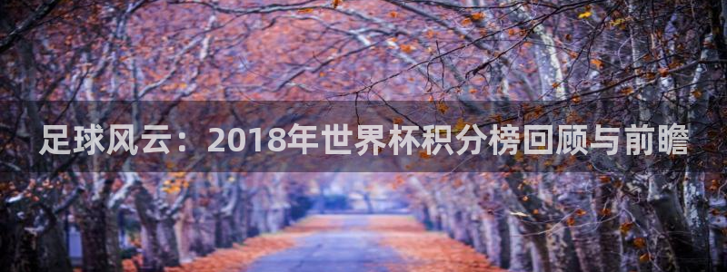 世界杯时间:足球风云:2018年世界杯积分榜回顾与前瞻