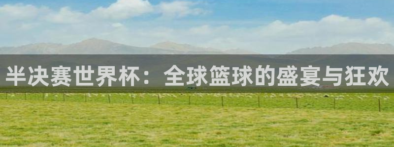 世界杯官网入口:半决赛世界杯:全球篮球的盛宴与狂欢