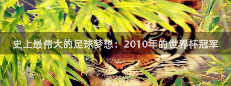 世界杯足球2026:史上最伟大的足球梦想:2010年的世界杯冠军