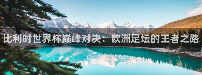 世界杯在线直播入口:比利时世界杯巅峰对决:欧洲足坛的王者之路