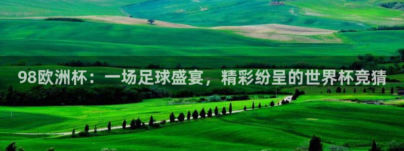 2026世界杯官网入口:98欧洲杯:一场足球盛宴,精彩纷呈的世界杯竞猜