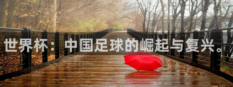 2026世界杯直播:世界杯:中国足球的崛起与复兴。