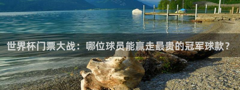 世界杯2026赛制:世界杯门票大战:哪位球员能赢走最贵的冠军球款?