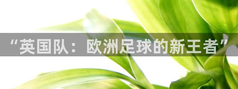 世界杯足球赛2026:“英国队:欧洲足球的新王者”